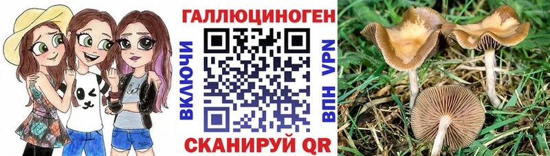 Псилоцибиновые грибы ЛСД  Купить где  Трёхгорный 